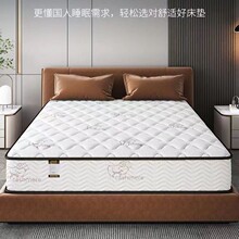 席夢思彈簧床墊經濟型20CM厚家用彈簧乳膠椰棕軟硬兩用
