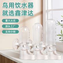 鸚鵡鳥用自動飲水器 加厚大號喂水器 水杯鳥食盒鳥籠配件用品批發