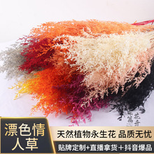 永生花干花漂白情人草白色粉色情人草氣質家居裝飾插花花束禮物