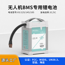 廠家定制農用植保無人機電池12S16Ah噴葯撒肥專用智能BMS長續航