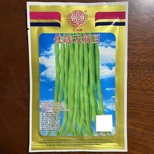 五洲牌優選無筋豆長白豆角豇豆種子菜園種植四季蔬菜種籽廠家批發