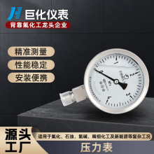廠家壓力表YTN-100 耐震壓力表