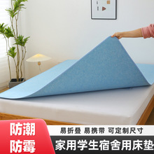 學生宿舍床墊防潮墊家用薄床墊榻榻米毛氈床墊折疊床墊吸潮防霉