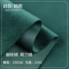 現貨批發加厚麗絲絨荷蘭絨天鵝絨沙發抱枕服裝玩具家紡口袋布