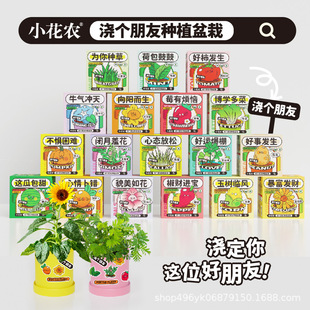 小花農咕卡種植 植物生長觀察 迷你趣味小盆栽 福州廠家直發綠植