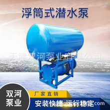 廠家直營 350QZB-50浮筒式軸流泵 流量大 不銹鋼葉輪 漂浮泵廠家