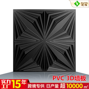 羳Q3D wall panelˮPVCbNSw