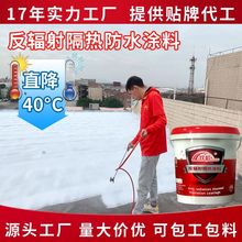 雙虹屋頂隔熱隔熱塗料降溫樓頂彩鋼隔熱漆 反輻射隔熱防水塗料