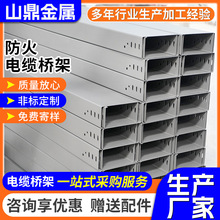 安裝防火電纜橋架消防金屬槽式梯式托盤式大跨距耐火電纜橋架