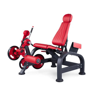 СȾӖСȼ⽻ӖKNEELING LEG CURLING GYM