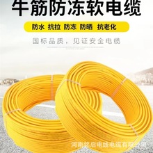 牛筋防凍軟電纜2芯1.5 2.5平方純銅戶外家用充電延長線兩芯黃電纜