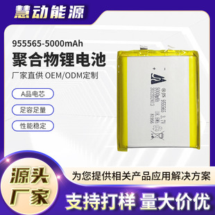 955565ۺ늳5000mah ƄԴ늌lů֌늳