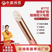 礦物絕緣防火電纜 BTTZ 4*10/16/25低壓電線電纜國標銅芯足米 廠