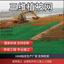 三維植被網復合網綠色交織網狀護坡固土公路綠化護坡植草EM5