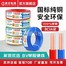 家友電纜bv純銅單芯硬線bv/1.5/2.5/4/6平方電線家裝銅線地線電纜