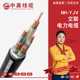 SlNH-YJV˼~0.6-1KV|