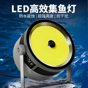 LED߹ЧLED~1000W~T~1000W~500W