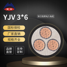 天環 國標YJV3*6平方阻燃銅芯電纜線 低壓3芯電力電纜廠家