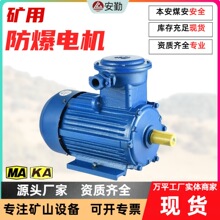 防爆三相異步電動機 礦用機械專用隔爆電機 供應YBK系列防爆電機