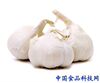 Բ��������WXG-4
