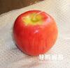 ��Ӧ���鼦��