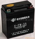 ��ӦĦ�г�12V5A���