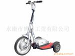 ��Ӧsegway�綯���峵