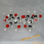XMM-103-教学模型-分子结构模型-纤维素-cellulose