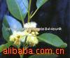 ��������Ӧ��100%����Ȼ�ȼ������ͻ�ױƷҩƷ������(ͼ)