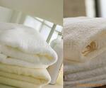��Ӧ�Ƶ�ͷ�����600g75&times;15cmԡ��