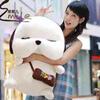 ������Ӧë����ߡ��ҵ�Ů��my girl����å��~