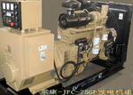 供应柳州佳力·康明斯JLC100柴油发电机组