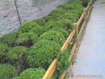 供应上海河道及公路两旁的仿木工艺简单的款式护栏