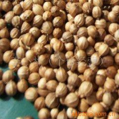 调味香料-供应甘肃产出口A级香菜子(芫荽籽),芫荽子粉-调味香料尽