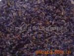 供应批发 花草茶 薰衣草茶 健康 养颜