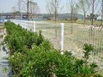 供应护栏网,安全护栏,道路护栏