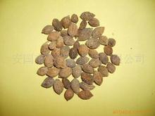 海南益智仁_海南益智仁价格_优质海南益智仁