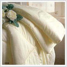 江苏海安桑蚕丝被_江苏海安桑蚕丝被批发_江