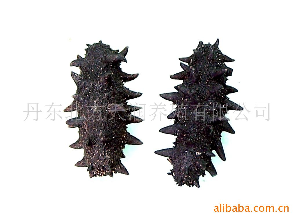 方天润 质量上乘 奇仁堂 淡干海参 俄罗斯红参