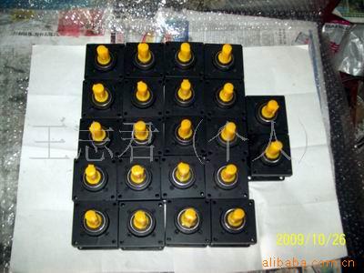 复件 (3) 调整大小 100_0328_9973