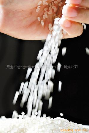 出口大米 白圆米 大米 东北大米 国标一级特级大