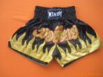 ��Ӧ���ڶ���̩��WINDY̩ȭ��