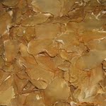 散装脱水绿竹笋 绿色食品 特产 脱水蔬菜 笋干