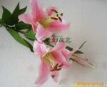 ������Ӧ���滨/�����ٺ�/�Ӽ�װ�λ�/����ٺϻ�