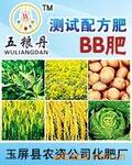��ӦBB����