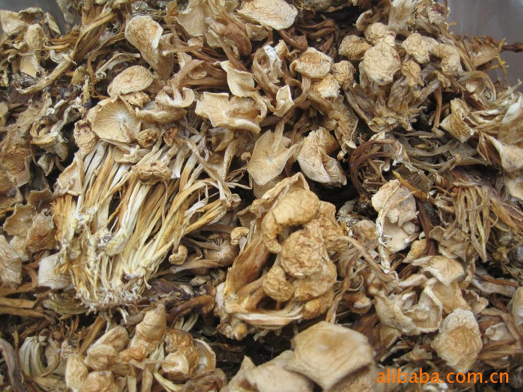 供應食用菌，蘑菇，金針菇干品(圖)