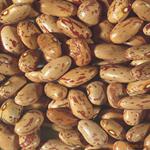 �Ĵ������ز� ���� ��ƺ����ѩɽ���� 500g
