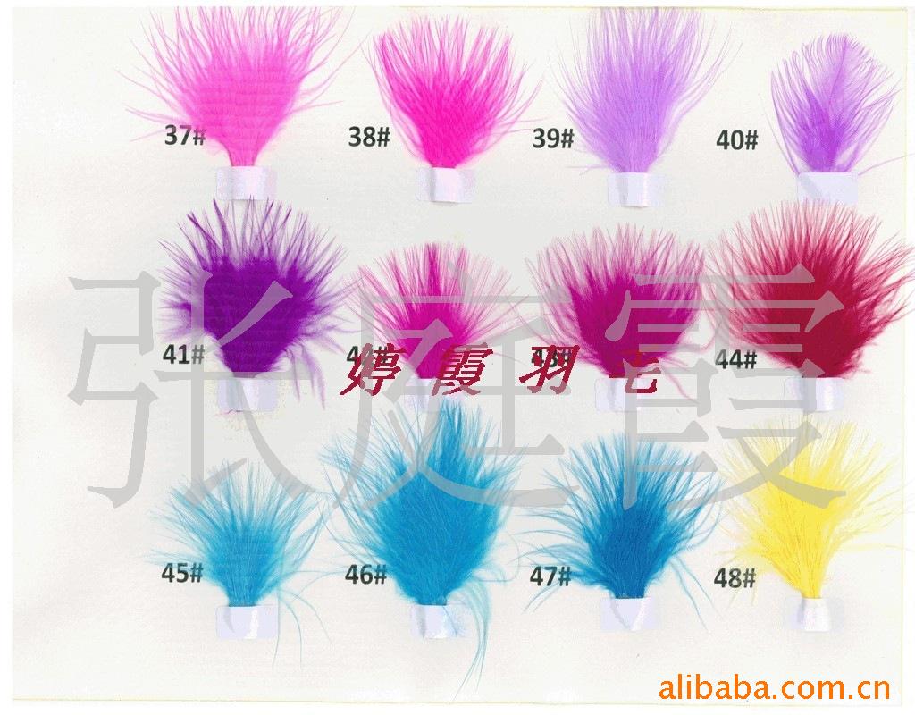 【羽毛色样,给产品打样用以作参考】价格,厂家