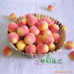 ������Ӧ����ˮ��/װ��ˮ��/����/ƻ��/�Ϲ�/����