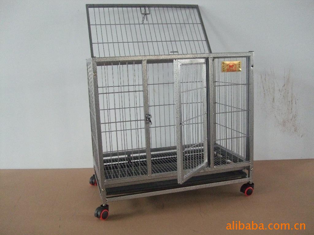 狗笼子05-5